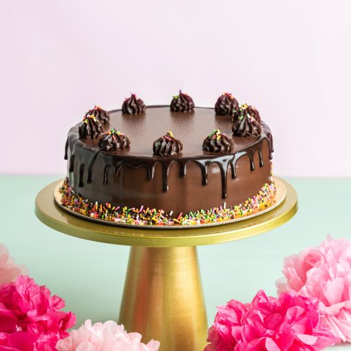 Chocolate Mayer - Image 2