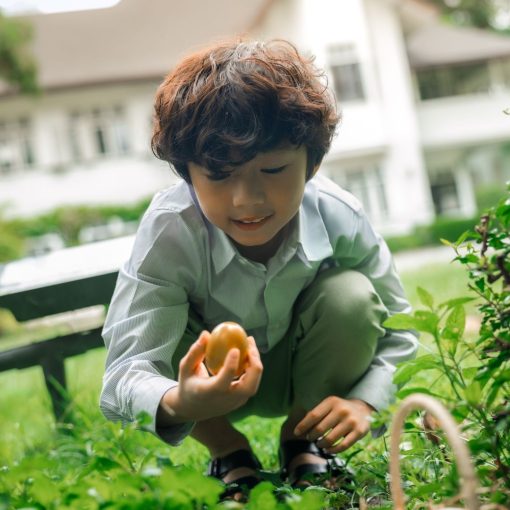 Easter Day : Paint & Hunt Egg Activity - Image 2