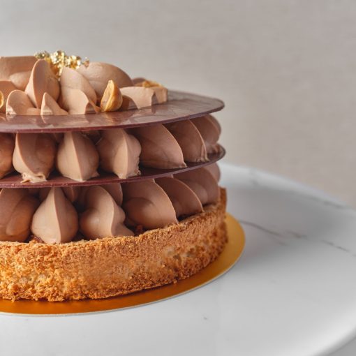 Chocolate Praline Cake